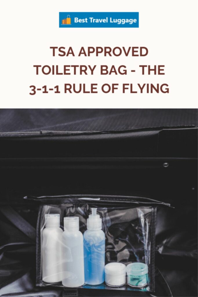 TSA Approved Toiletry Bag The 311 Rule Of Flying