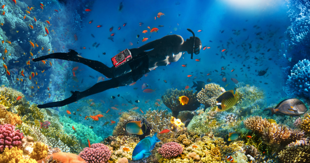 best travel camera under 500 under water