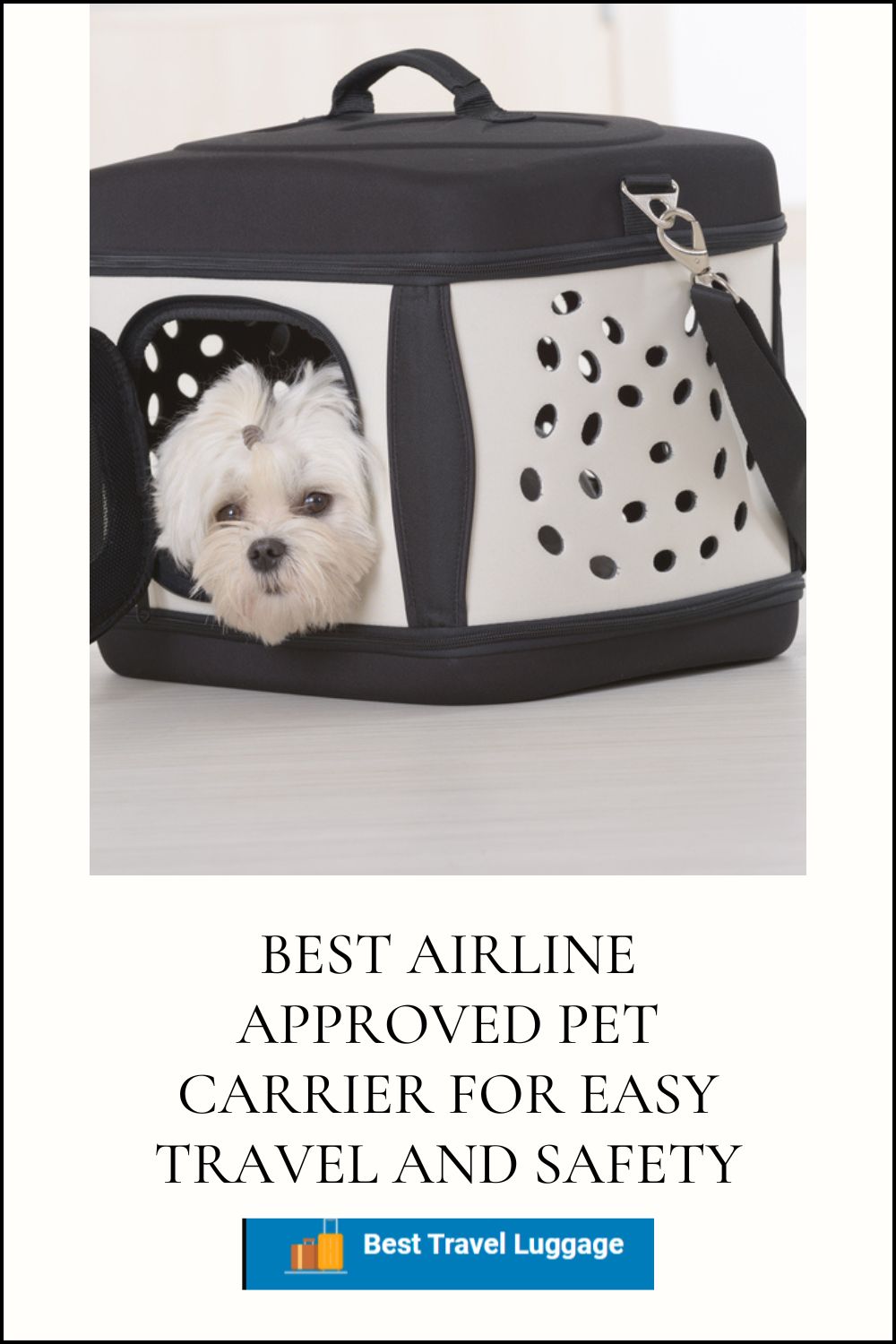 best airline approved pet carrier pin