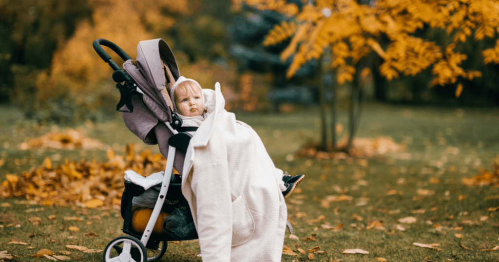 Best Travel System Strollers 3 In 1 And TSA Approved