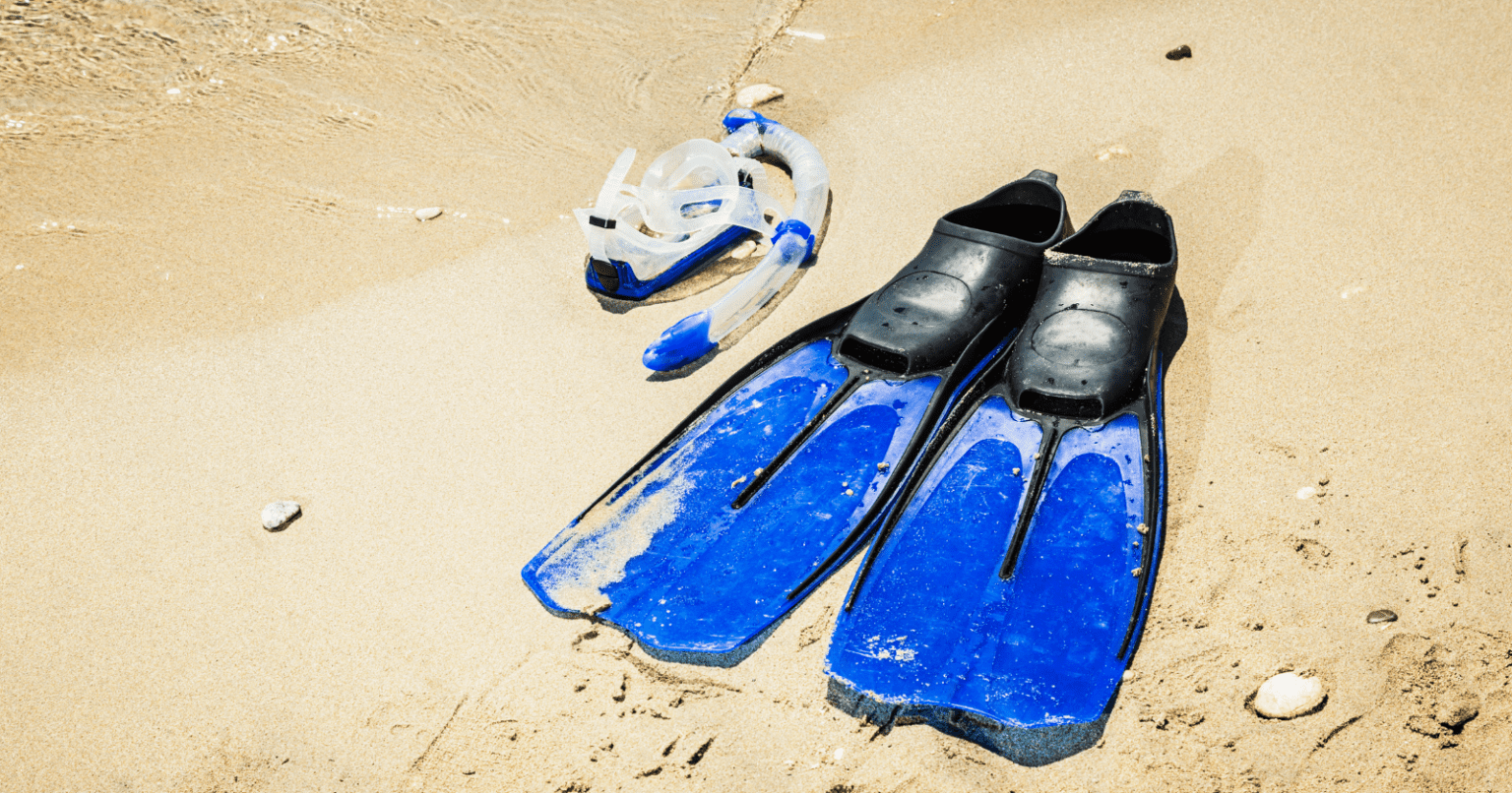 Best Scuba Fins For Travel With Our Top Picks And Tips On Packing To Fly