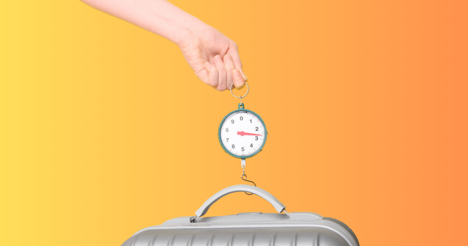 Airline Baggage Fees Ultimate Guide